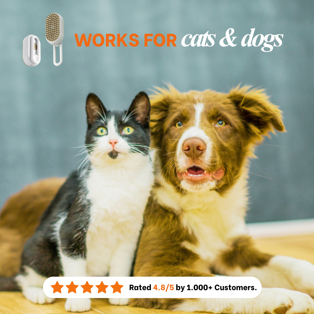 Calming & Mess-Free Mist Brush