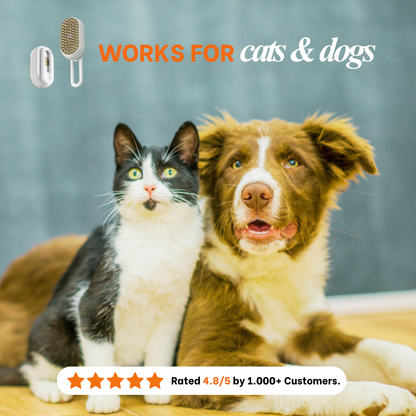 Calming & Mess-Free Mist Brush