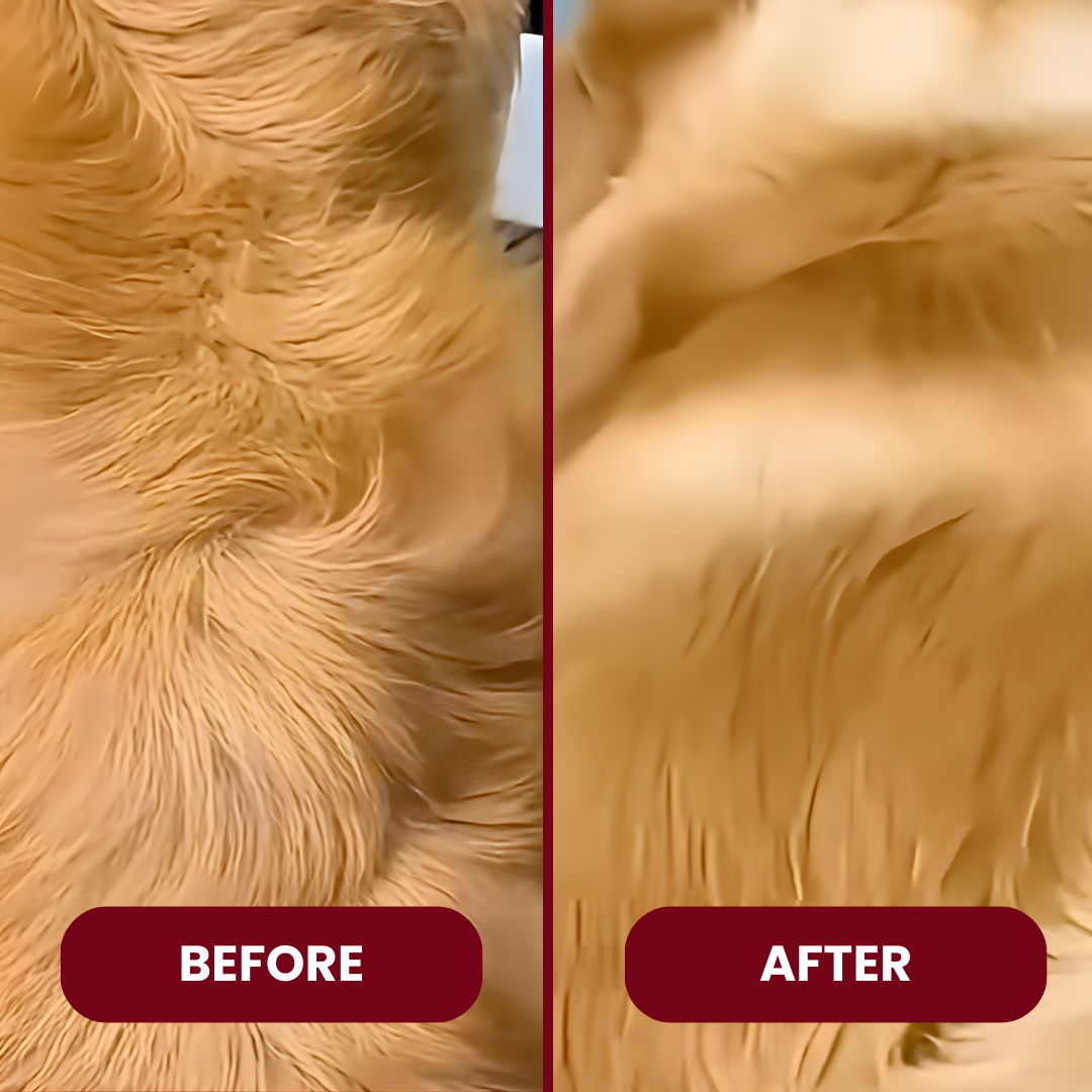 Calming & Mess-Free Mist Brush