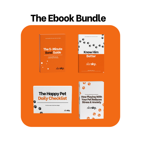 Ebook Bundle